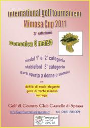 Mimosa Cup 2011