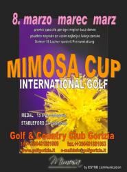 Mimosa Cup 2009